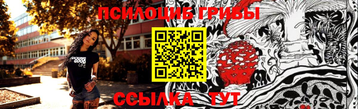 Псилоцибиновые грибы Magic Shrooms  Вход с VPN  Свободный 