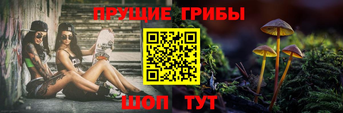 Галлюциногенные грибы прущие грибы Свободный